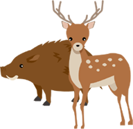 有害鳥獸與資源回收/廢物研究 有害鳥獸與資源回收/廢物研究